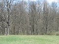 IMG_0380