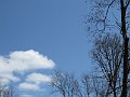 IMG_0402