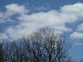 IMG_0404