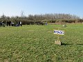 IMG_0483