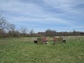 IMG_0690