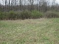IMG_0710