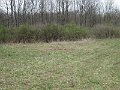 IMG_0711