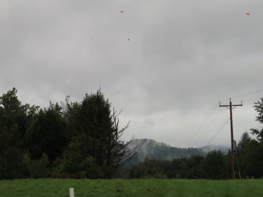 IMG_3187.JPG