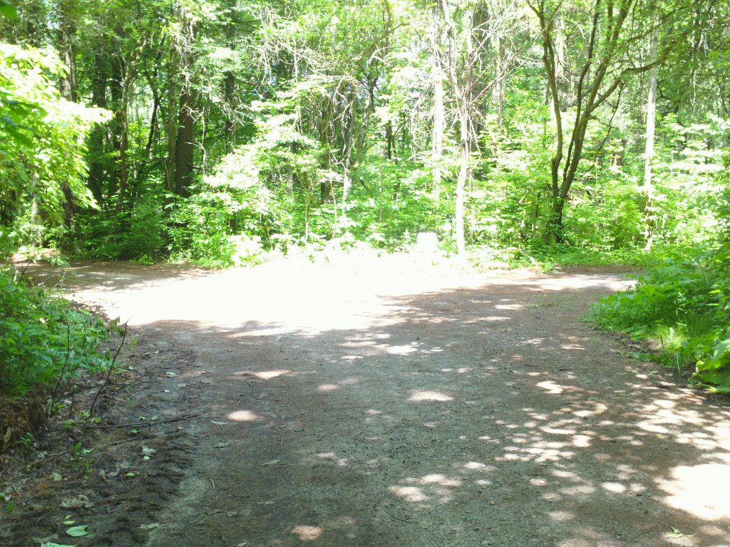SAM_0260.jpg