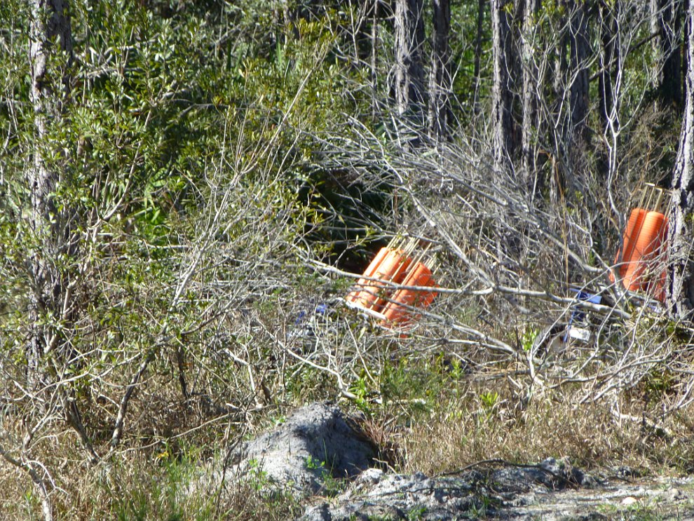 P1020511.JPG