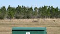 IMG_4539