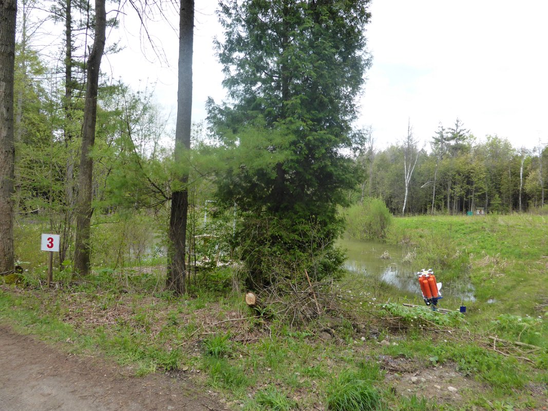 P1000155.JPG