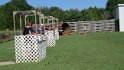 IMG_1226