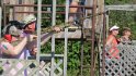 IMG_1235