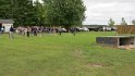 IMG_1551