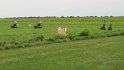 IMG_1088