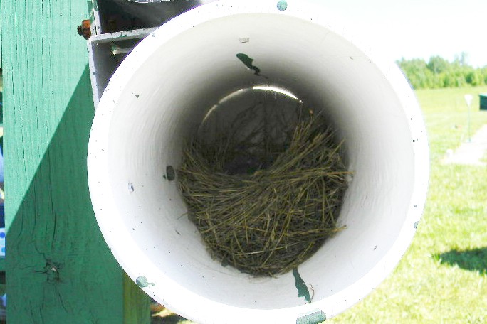 dscn3318.jpg