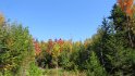 IMG_1898