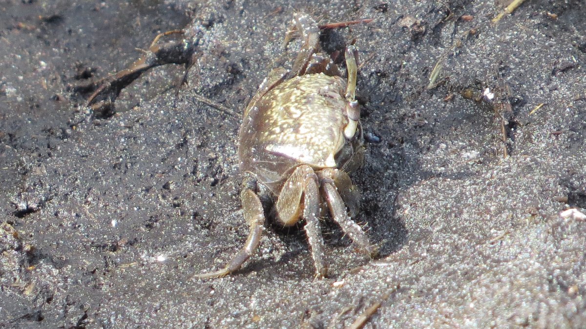IMG_4334.JPG