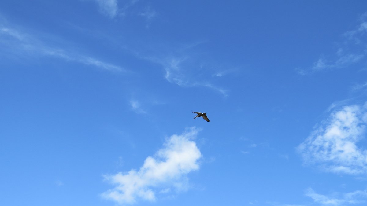IMG_4410.JPG