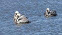 IMG_4417