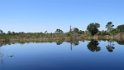 IMG_4731