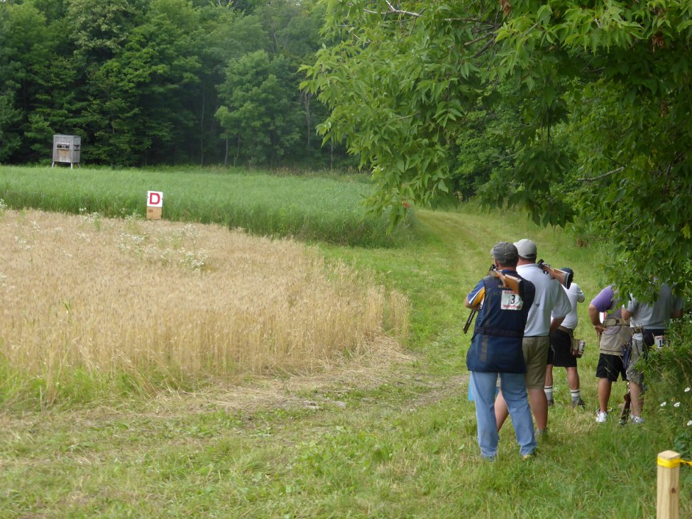 P33.JPG