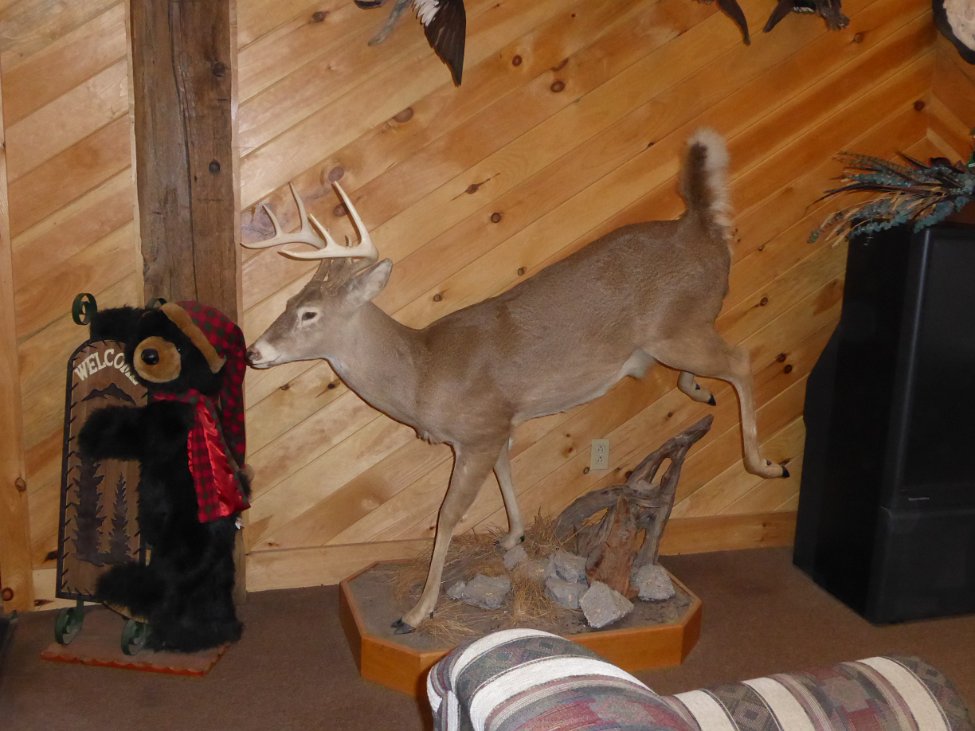P7.JPG