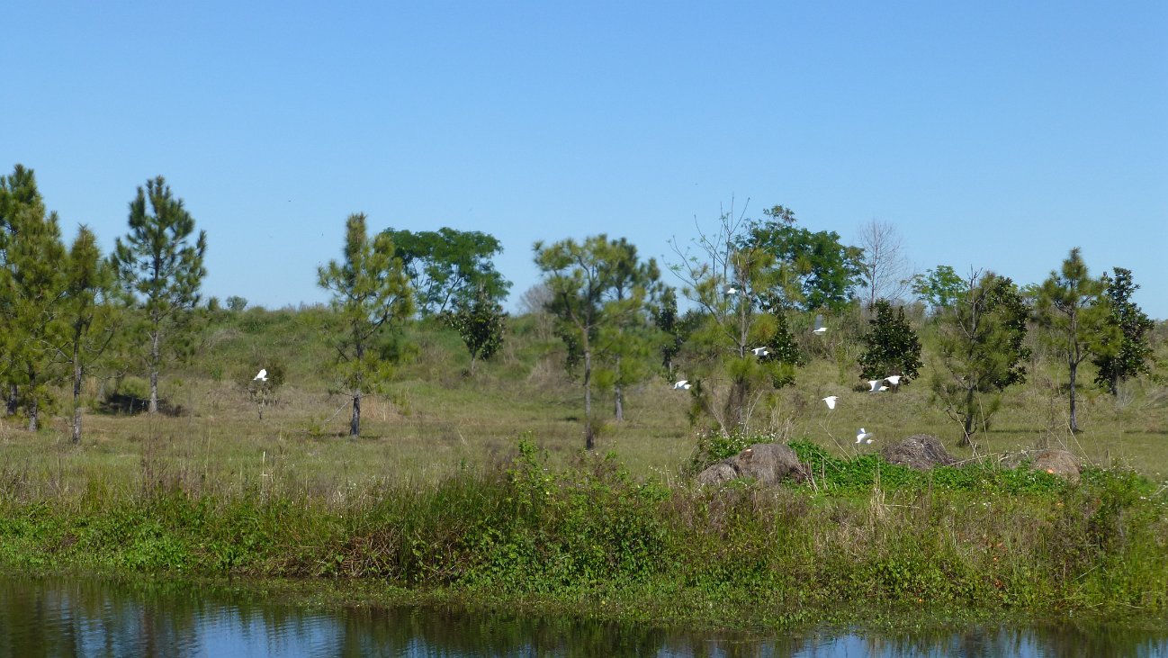 P1000925.JPG