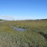 IMG 2938