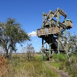 IMG 2964