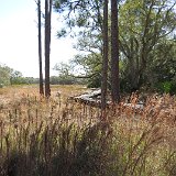 IMG 3023