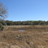 IMG 3027