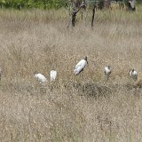 IMG 3039
