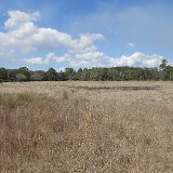IMG 3041
