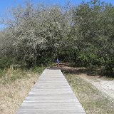 IMG 3042