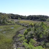 P1000393