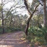 IMG 3048