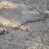 IMG 3057
