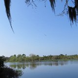 IMG 3071
