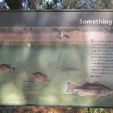 IMG 3081