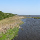 IMG 3088