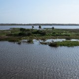 IMG 3089