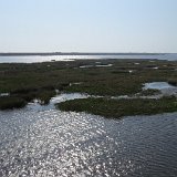 IMG 3090