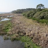 IMG 3092