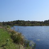 IMG 3109