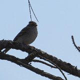 IMG 3120