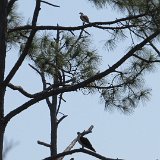 IMG 3138