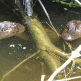 IMG 3157