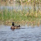 IMG 3164