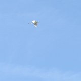 IMG 3180