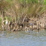 LakeTowerHide2