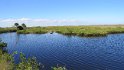 IMG_2235