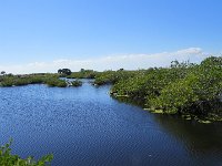 IMG 2231